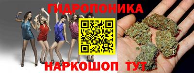 экстази Дубна
